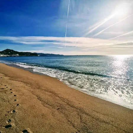 Seafront In